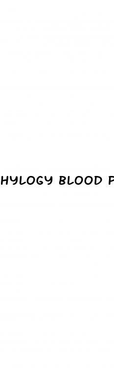 hylogy blood pressure monitor