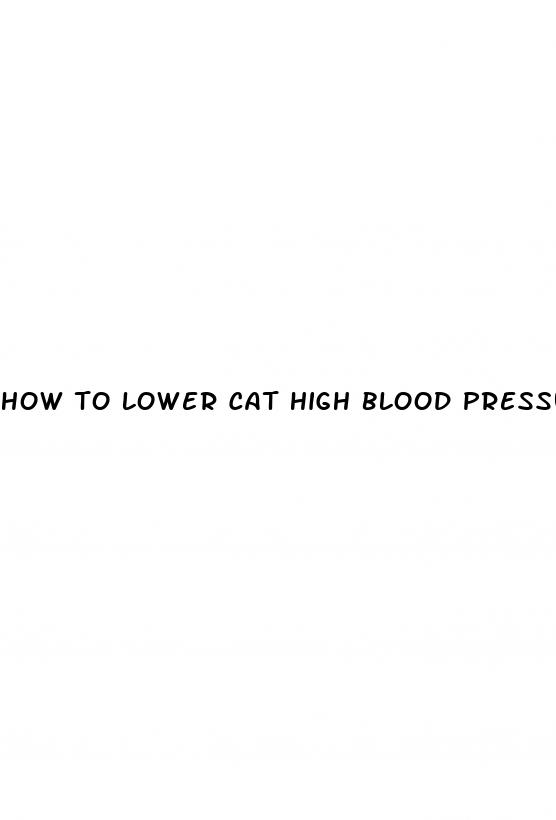 how to lower cat high blood pressure