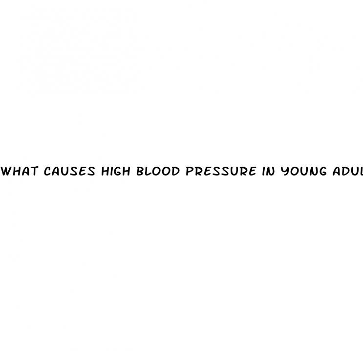 what causes high blood pressure in young adults