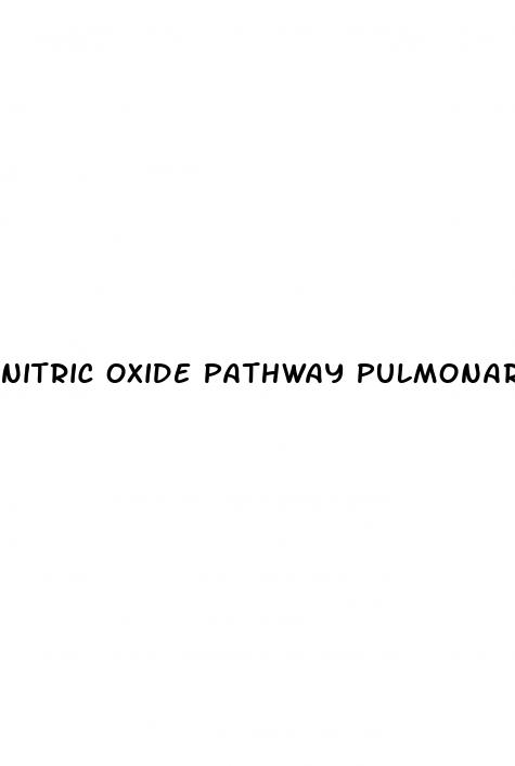 nitric oxide pathway pulmonary hypertension