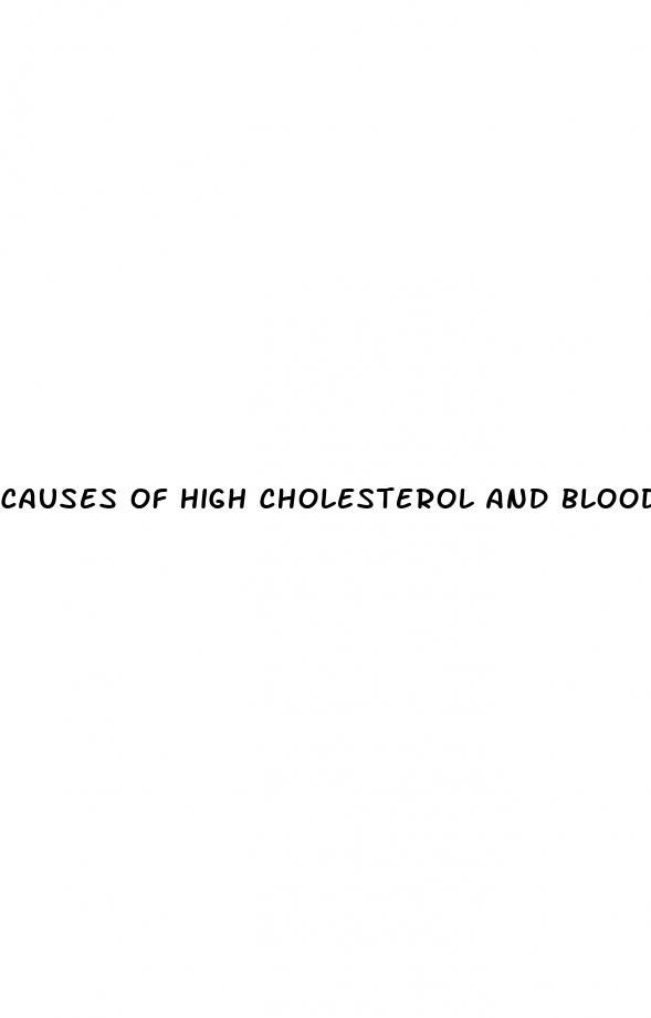 causes of high cholesterol and blood pressure