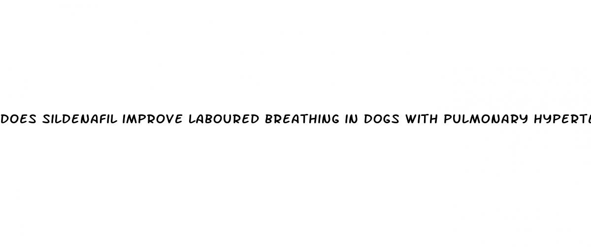 does sildenafil improve laboured breathing in dogs with pulmonary hypertension