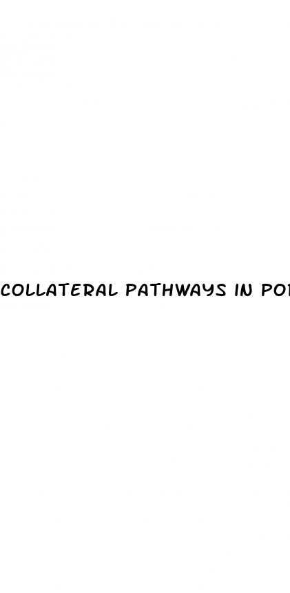 collateral pathways in portal hypertension