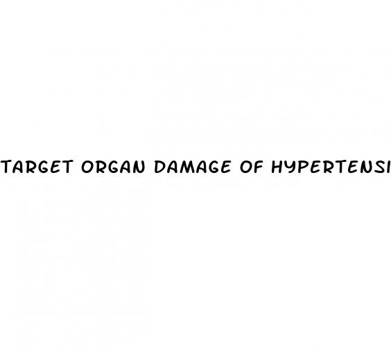 target organ damage of hypertension