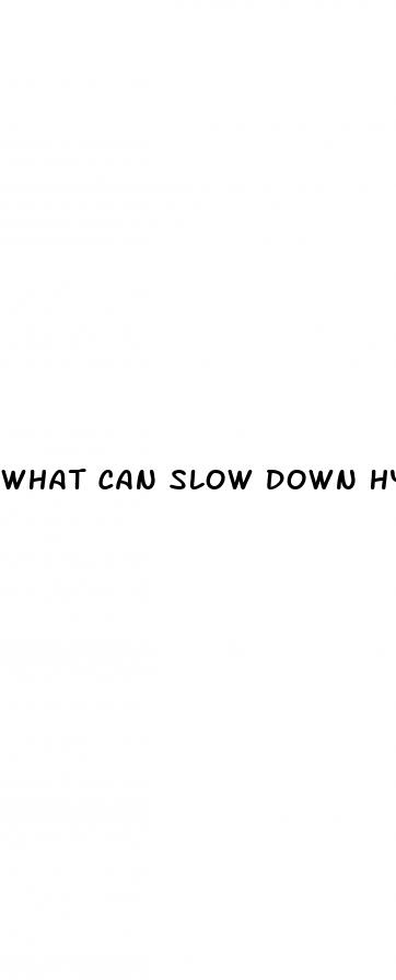 what can slow down hypertension in the heart