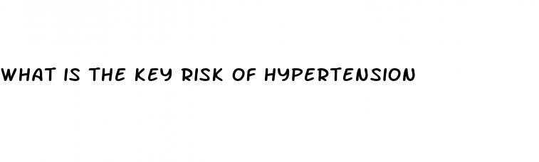 what is the key risk of hypertension