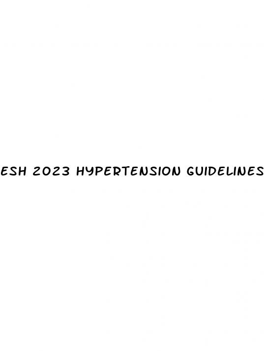 esh 2023 hypertension guidelines