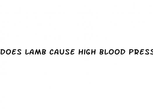 does lamb cause high blood pressure