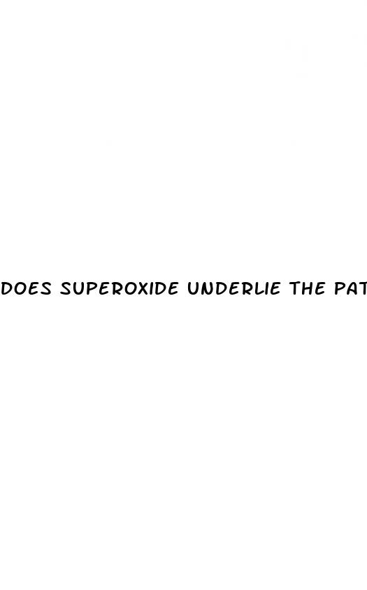 does superoxide underlie the pathogenesis of hypertension