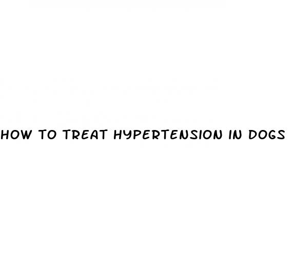 how to treat hypertension in dogs