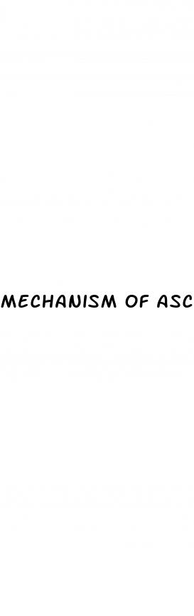 mechanism of ascites in portal hypertension