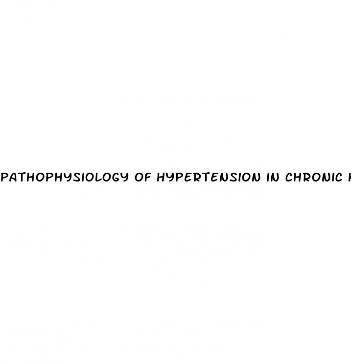 pathophysiology of hypertension in chronic kidney disease