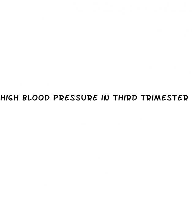 high blood pressure in third trimester pregnancy