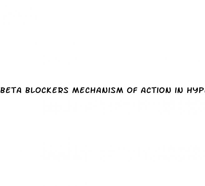 beta blockers mechanism of action in hypertension