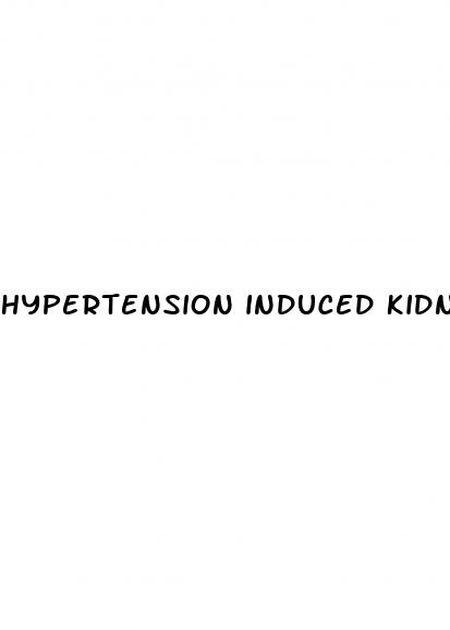 hypertension induced kidney disease