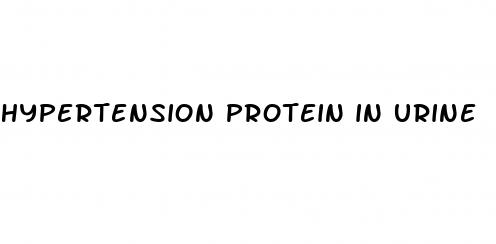 hypertension protein in urine