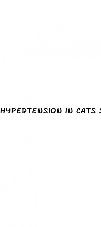 hypertension in cats symptoms
