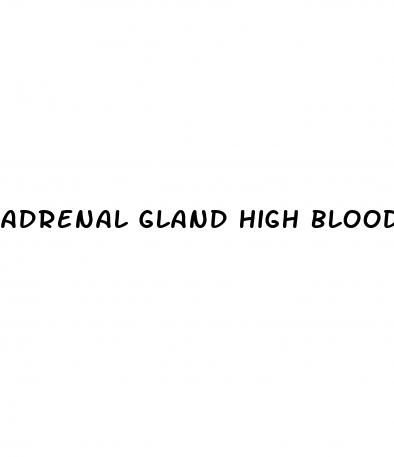 adrenal gland high blood pressure low potassium