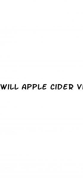 will apple cider vinegar pills lower blood pressure
