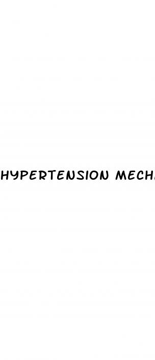 hypertension mechanism of action