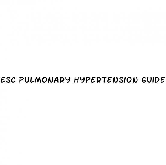 esc pulmonary hypertension guidelines 2023