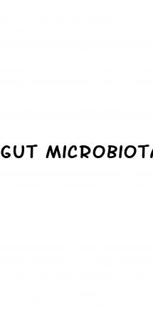 gut microbiota and hypertension