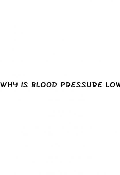 why is blood pressure lower in veins than arteries