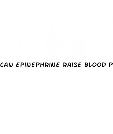 can epinephrine raise blood pressure