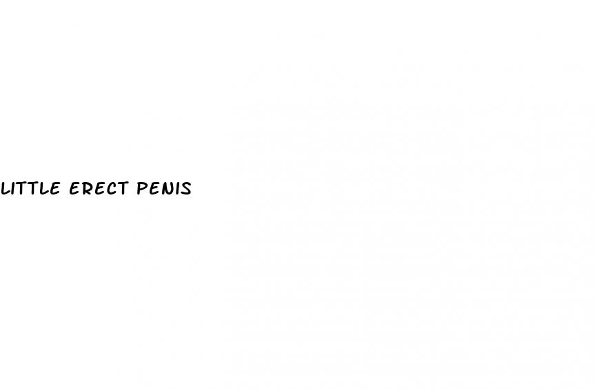 little erect penis