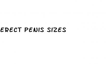 erect penis sizes