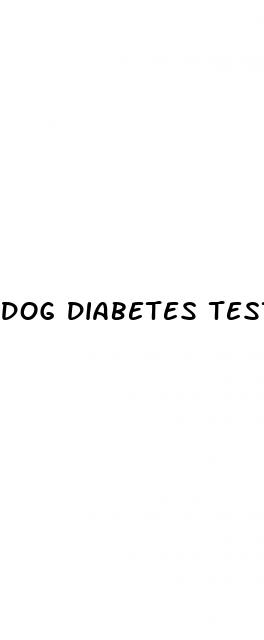 dog diabetes test kit