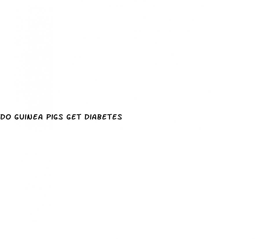 do guinea pigs get diabetes
