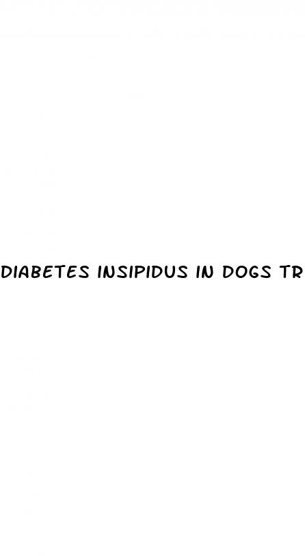 diabetes insipidus in dogs treatment