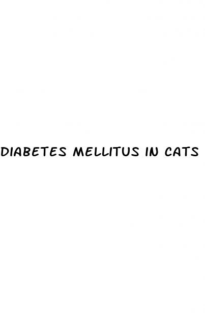 diabetes mellitus in cats