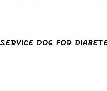 service dog for diabetes
