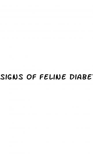 signs of feline diabetes