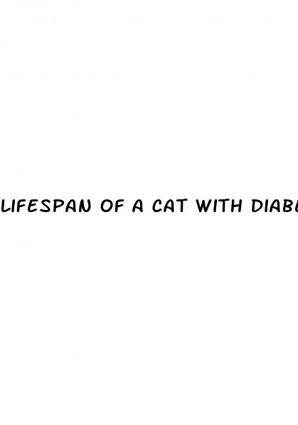 lifespan of a cat with diabetes