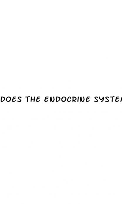 does the endocrine system regulate blood sugar