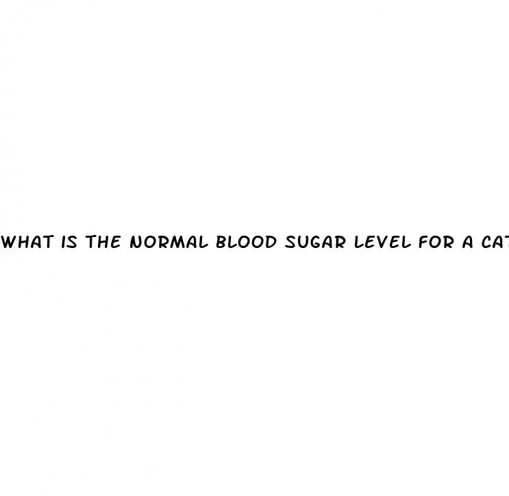 what is the normal blood sugar level for a cat