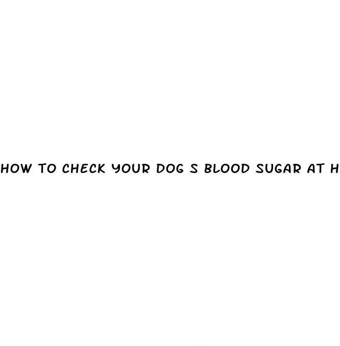 how to check your dog s blood sugar at home