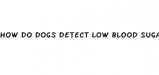 how do dogs detect low blood sugar