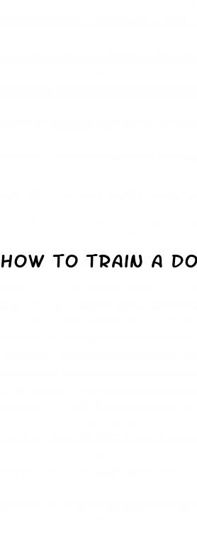 how to train a dog to detect blood sugar