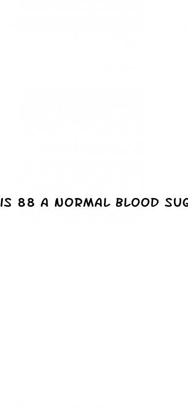 is 88 a normal blood sugar level