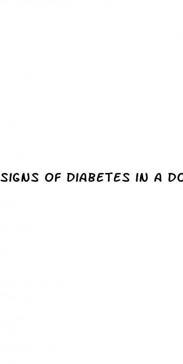 signs of diabetes in a dog