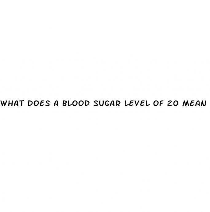 what does a blood sugar level of 20 mean