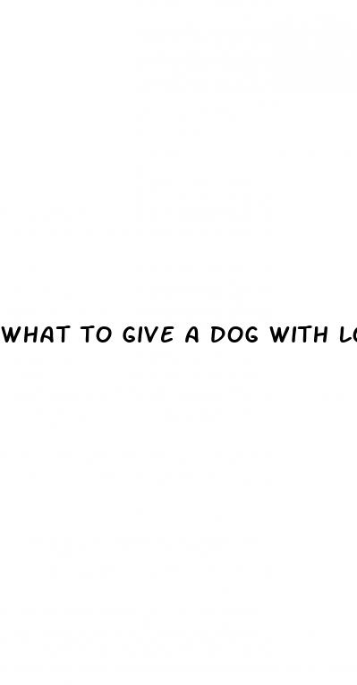 what to give a dog with low blood sugar