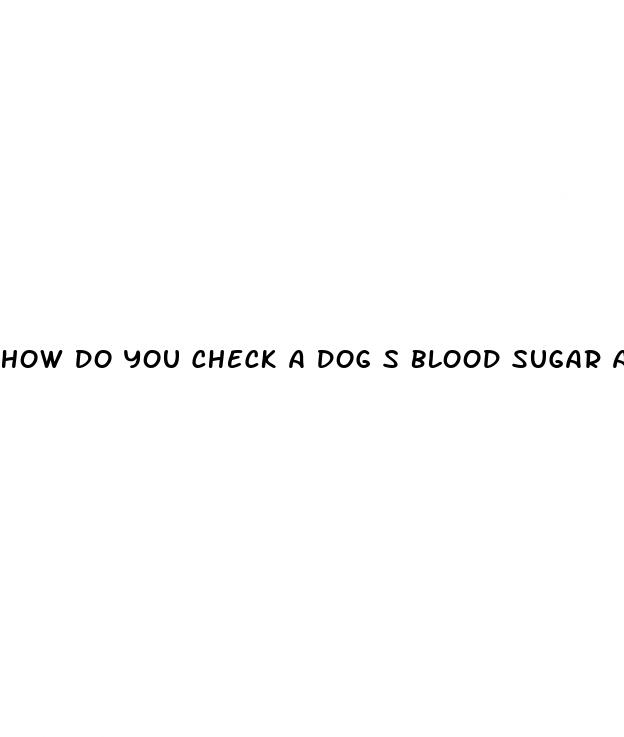 how do you check a dog s blood sugar at home