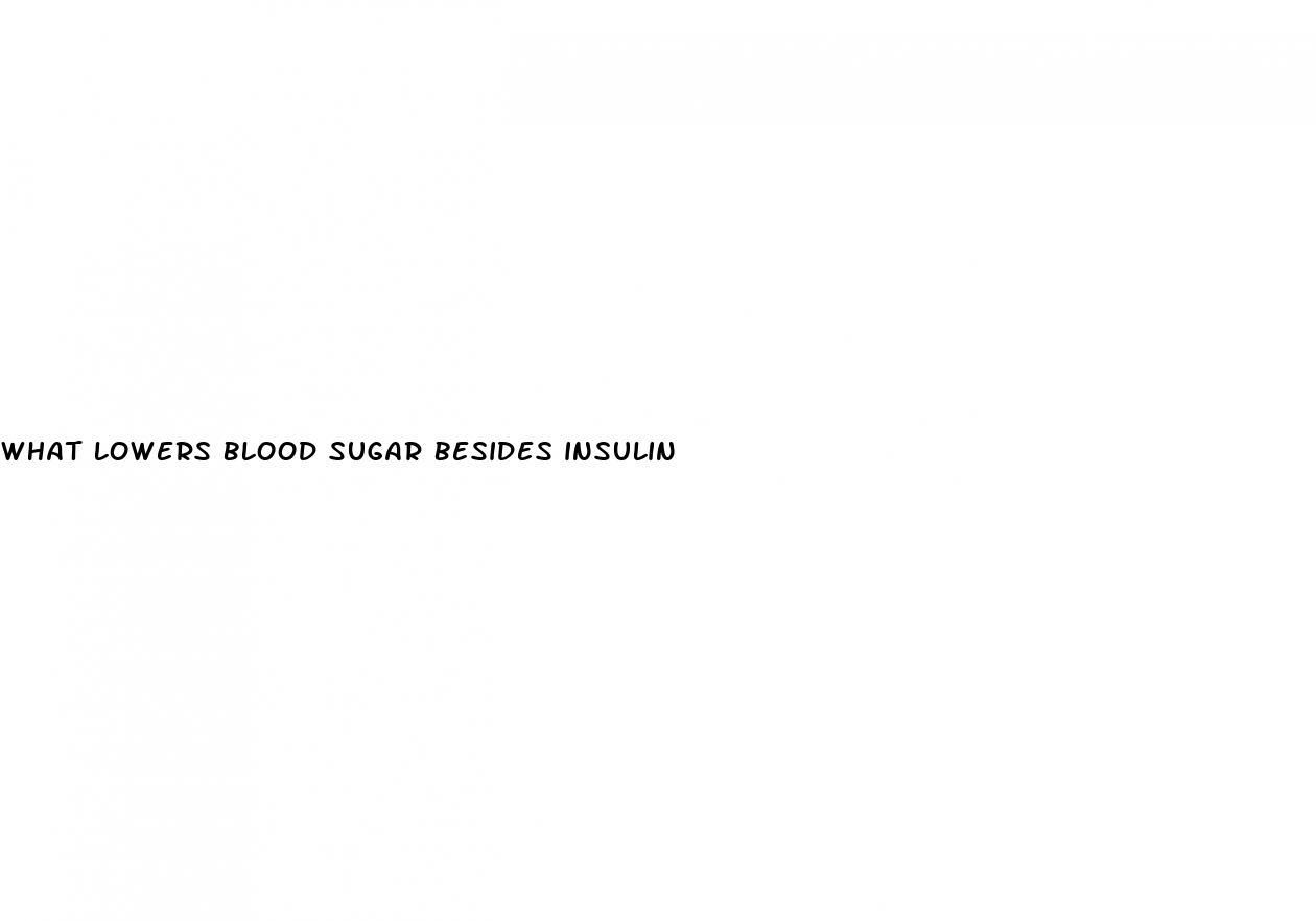 what lowers blood sugar besides insulin