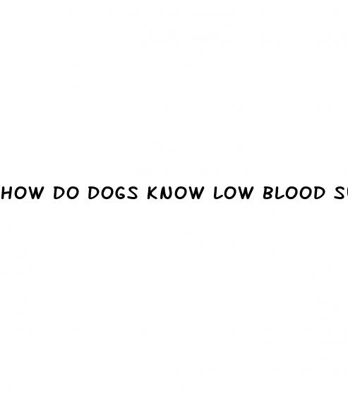how do dogs know low blood sugar