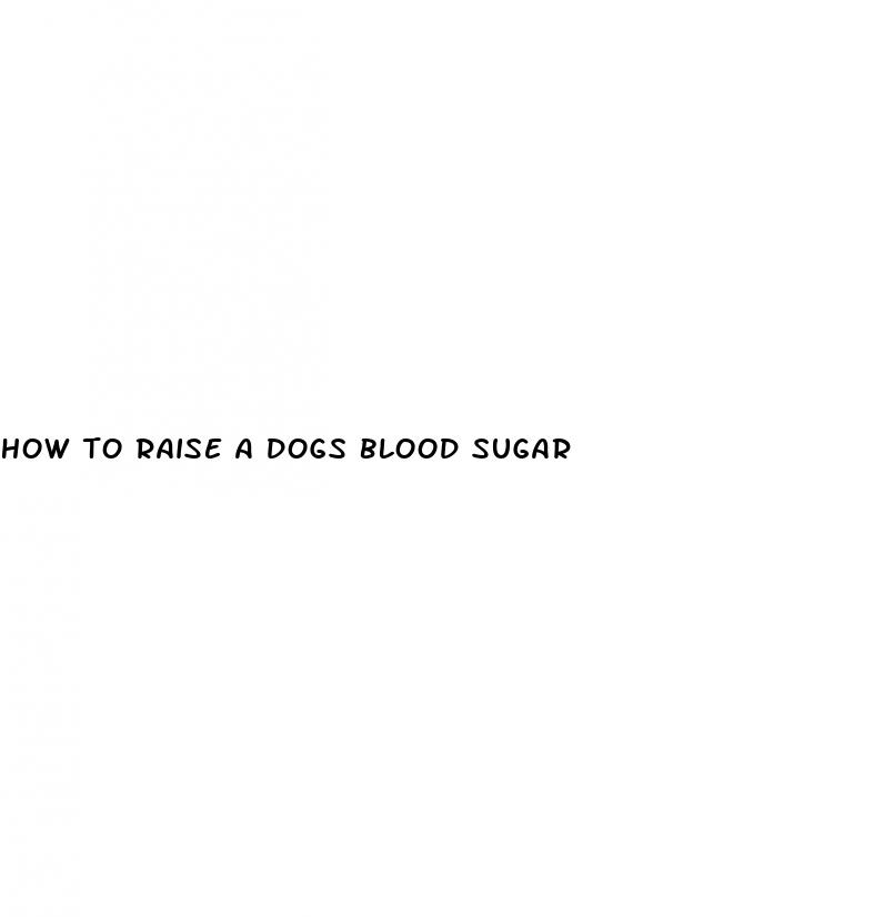 how to raise a dogs blood sugar